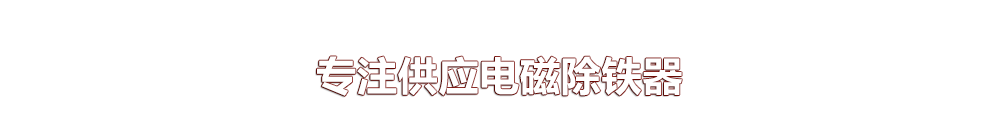 遠(yuǎn)力磁電專注供應(yīng)除鐵器6年 遠(yuǎn)力磁電專注供應(yīng)除鐵器6年